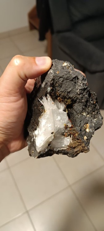 WhatsApp Image 2025-08-25 à 19.35.34_fa3d2499.jpg