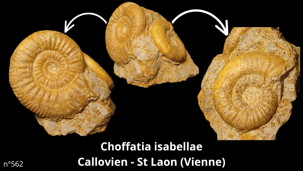 bte 073_20250815_163906_0007.png