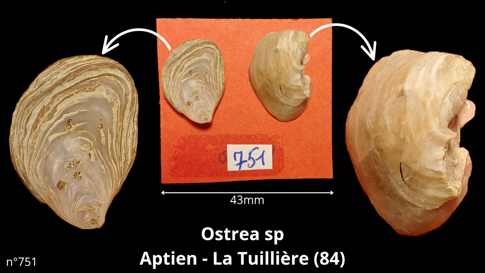 bte 073_20250815_163906_0008.png