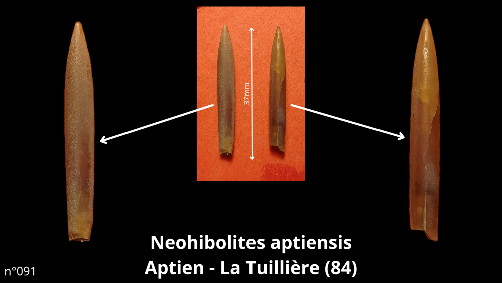 bte 073_20250815_163906_0013.png