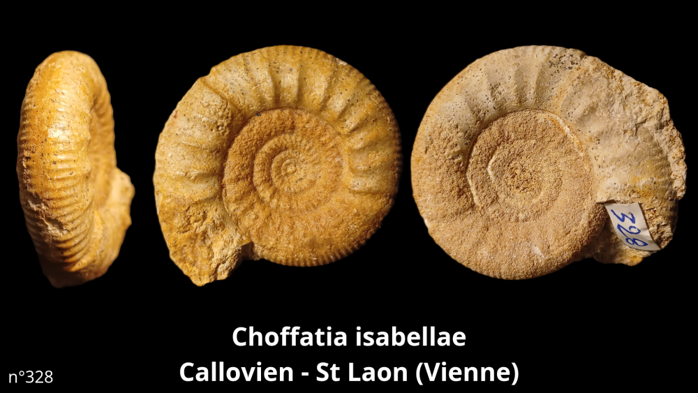 bte 073_20250815_170033_0001.png