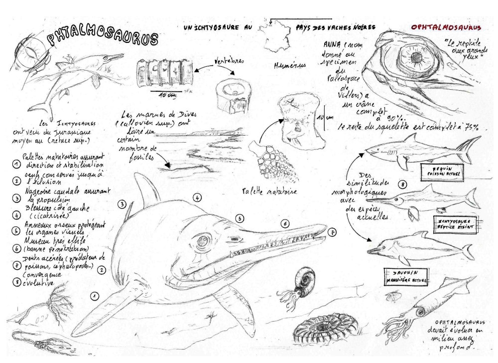 ophtalmosarus cr2 + encre 2.jpg