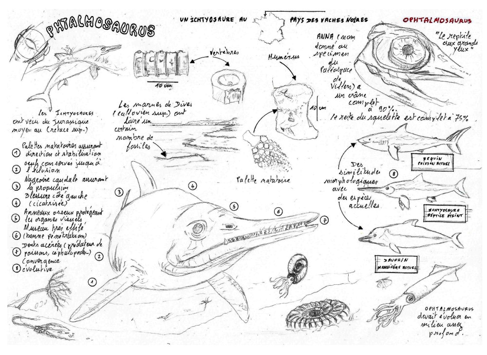 ophtalmosarus cr2 + encre 3.jpg