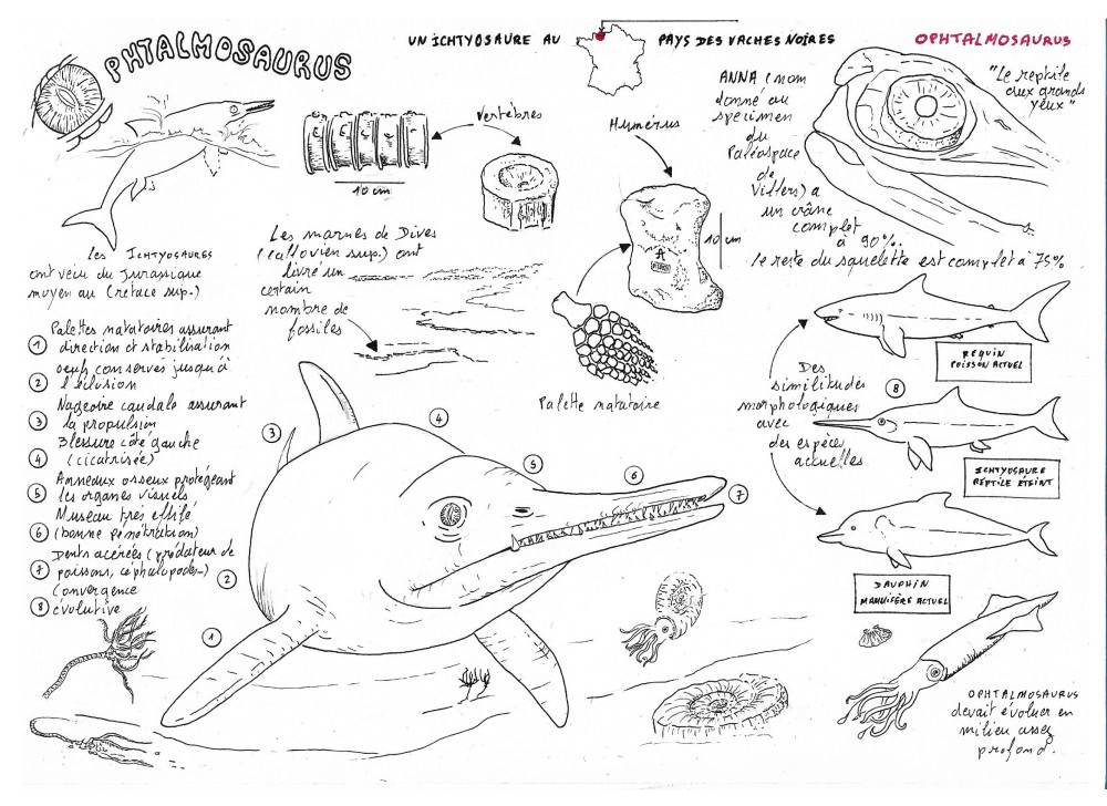 ophtalmosarus  encre 4.jpg