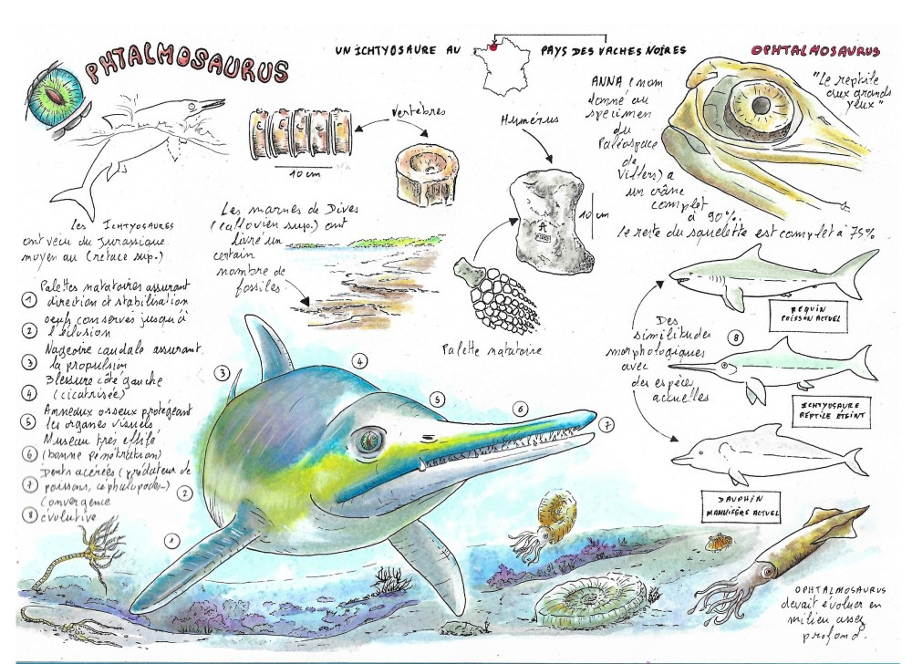 ophtalmosarus  encre 4 cg.jpg