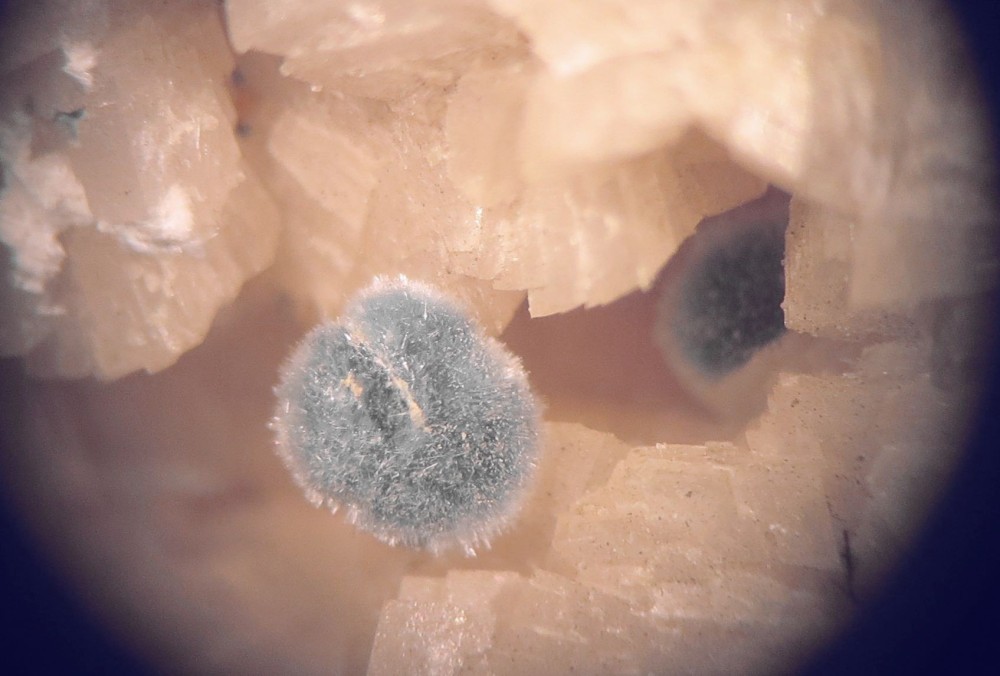 parasymplesite  st jean engelsbourg (2).jpg