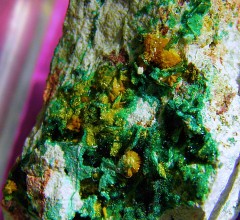 Kasolite
