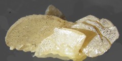 Stolzite