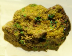Renardite