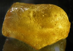 Ambre
