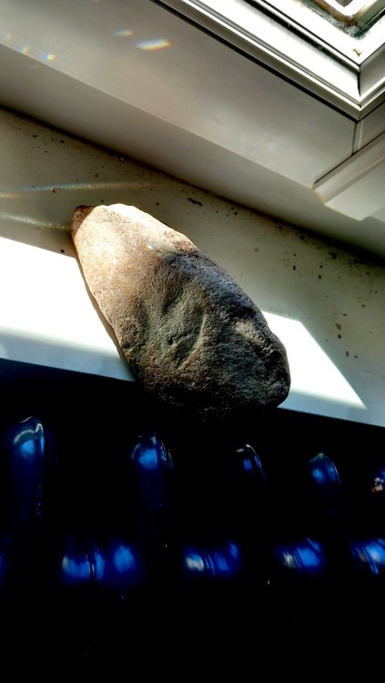 1000027862 copie.jpg