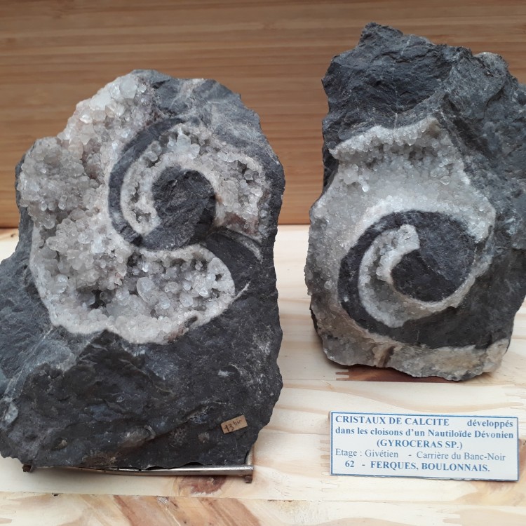 20181208_144013 (1).jpg