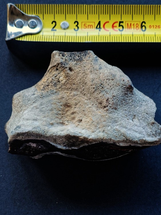 537697032_24989369013994210_540300624778403116_n (1) sign.jpg