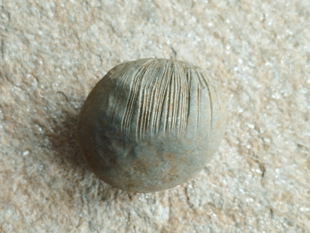 789 Mas-de-Londres IMG_20250505_083622.jpg