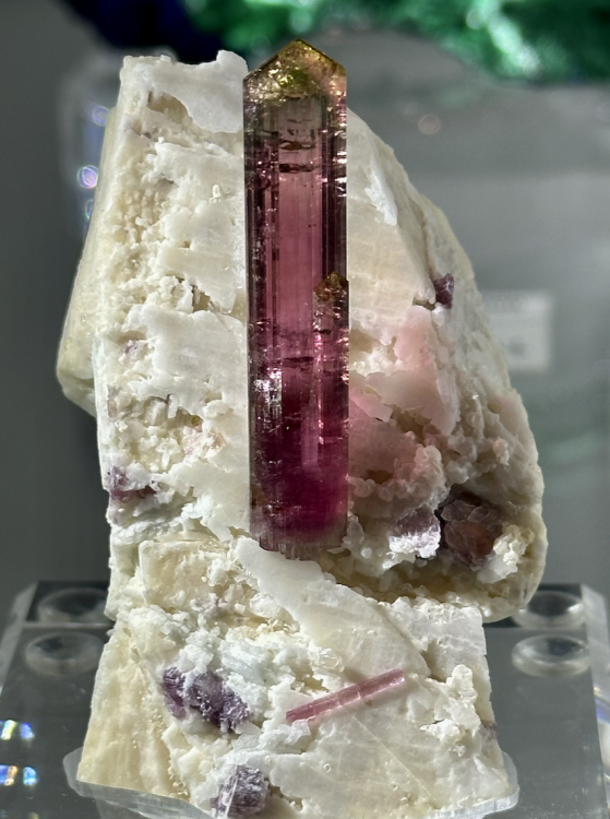 Capture d’écran 2025-09-05 à 07.16.57.png