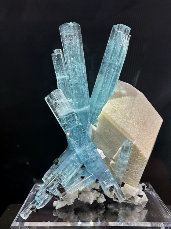 Capture d’écran 2025-09-05 à 07.22.17.png