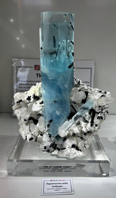 Capture d’écran 2025-09-05 à 07.23.52.png