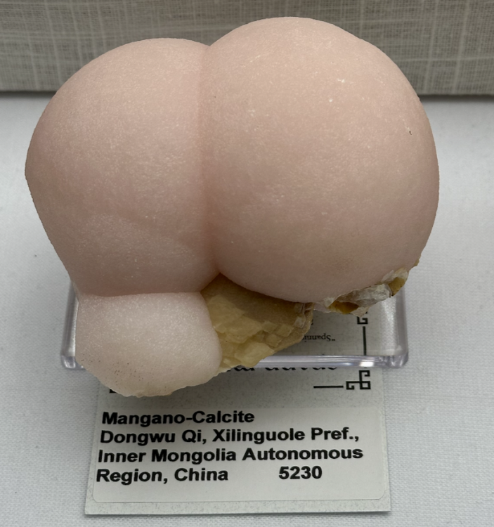 Capture d’écran 2025-09-14 à 07.10.37.png