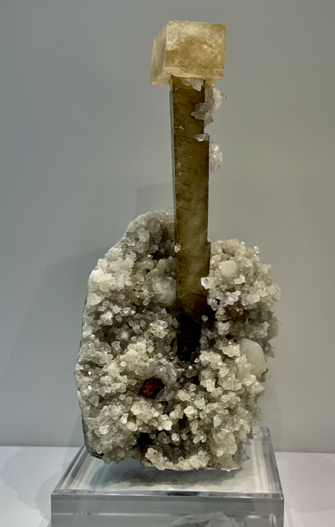 Capture d’écran 2025-09-14 à 07.11.18.png