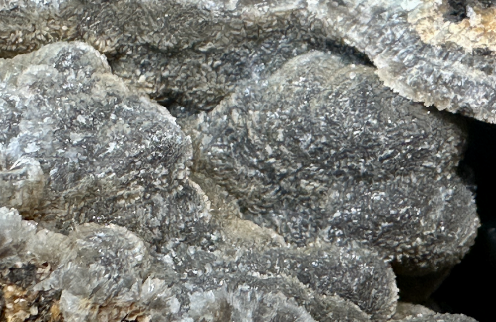 Capture d’écran 2025-09-14 à 14.17.11.png