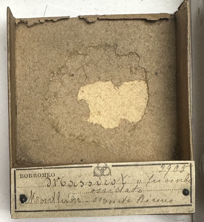 Capture d’écran 2025-09-16 à 00.36.02.png