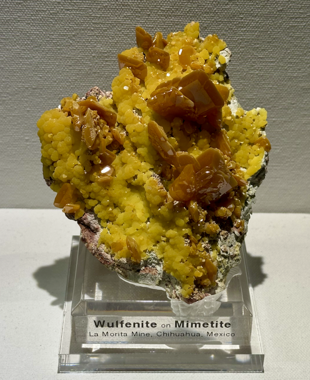 Capture d’écran 2025-09-18 à 00.58.34.png