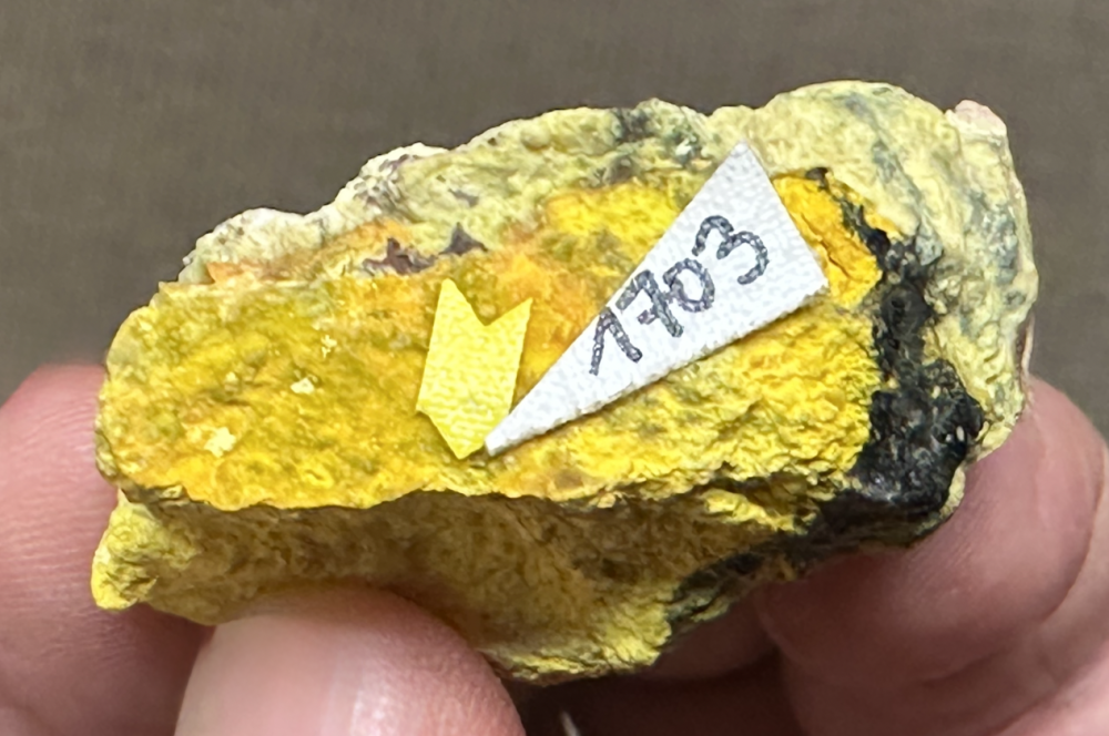 Capture d’écran 2025-09-20 à 15.02.58.png