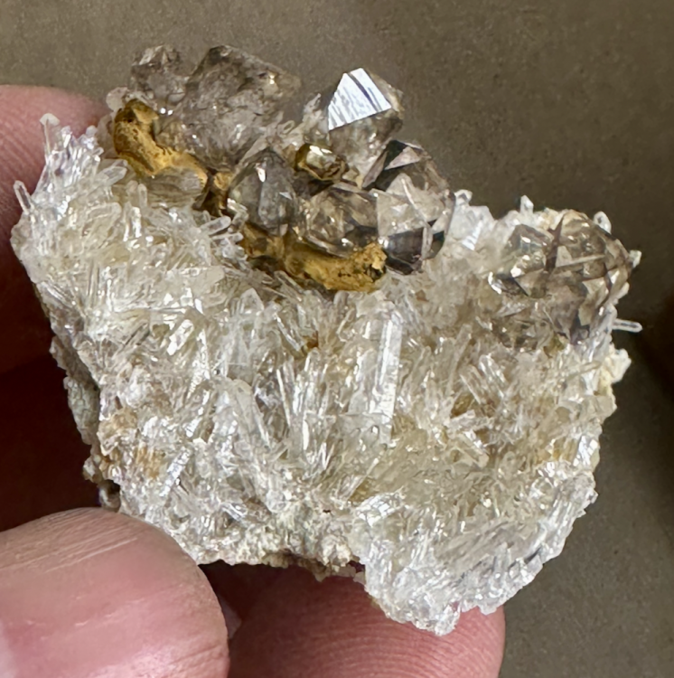 Capture d’écran 2025-09-20 à 15.43.54.png