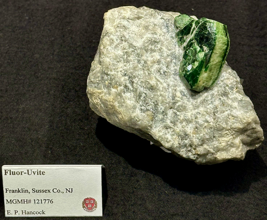 Capture d’écran 2025-09-21 à 15.56.27.png