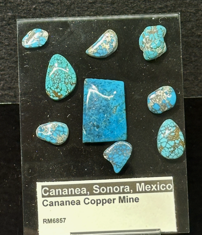 Capture d’écran 2025-09-21 à 15.59.24.png