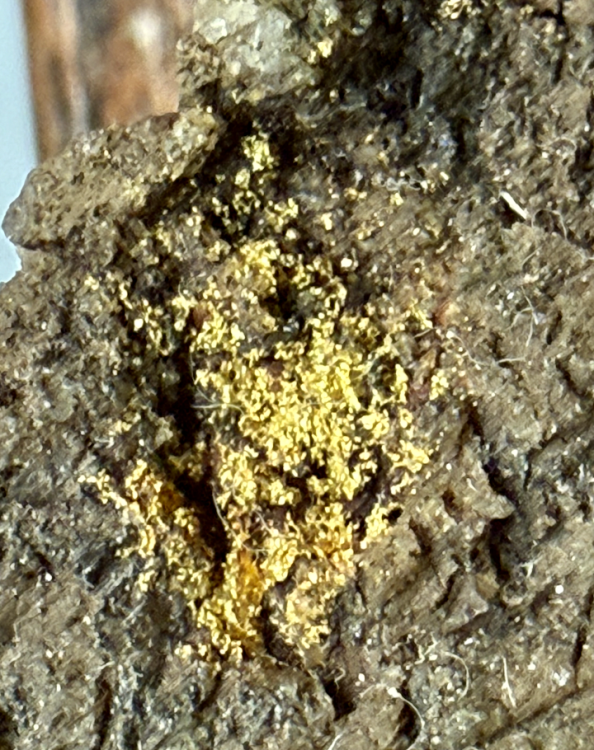 Capture d’écran 2025-09-28 à 12.05.22.png