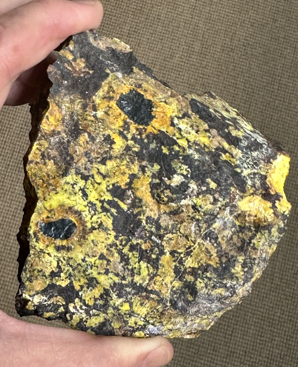 Capture d’écran 2025-09-28 à 12.07.18.png