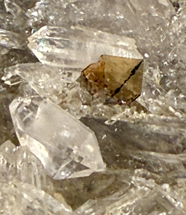 Capture d’écran 2025-09-28 à 13.19.33.png