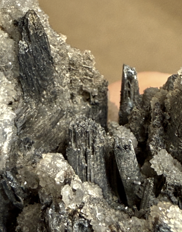 Capture d’écran 2025-09-28 à 14.28.06.png