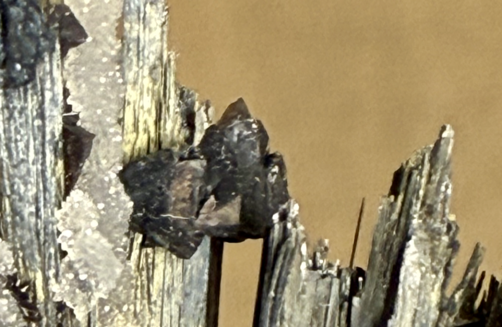 Capture d’écran 2025-09-28 à 14.29.51.png