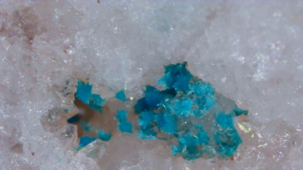 Cyanotrichite(2).thumb.jpg.095dd2d8ee2720c050d0af9b79b971c9.jpg