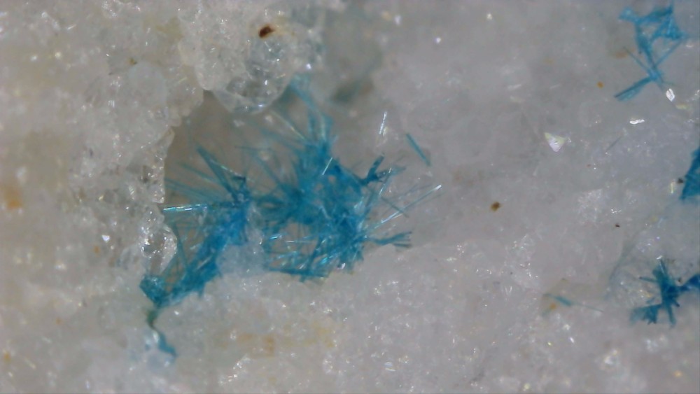 Cyanotrichite.thumb.jpg.7c72cb86e2b8005b74bda773b1bfeb1a.jpg