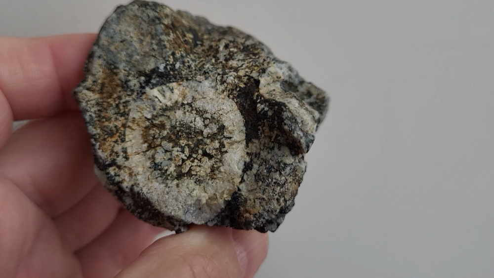 GABBRO DIORITE ORBICULAIRE - STE LUCIE DE TALLANO (12).png