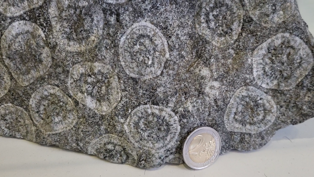 GABBRO DIORITE ORBICULAIRE - STE LUCIE DE TALLANO (179).png