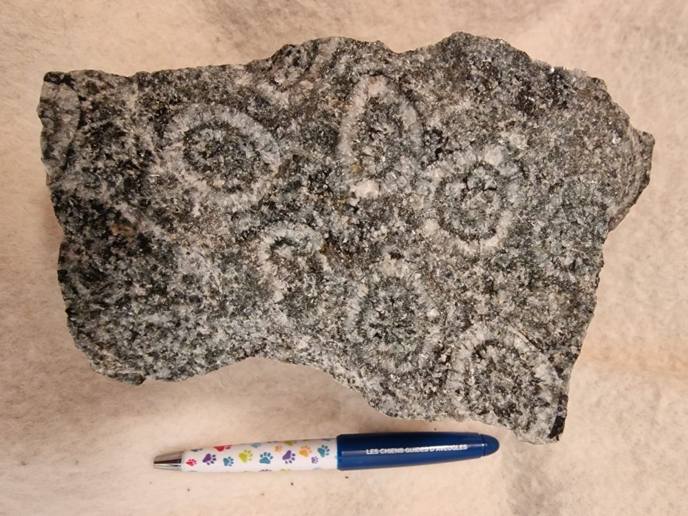 GABBRO DIORITE ORBICULAIRE - STE LUCIE DE TALLANO (82).jpg