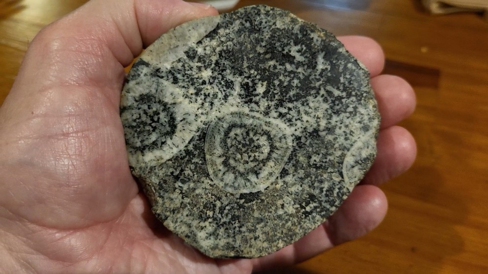 GABBRO DIORITE ORBICULAIRE - STE LUCIE DE TALLANO (83).jpg