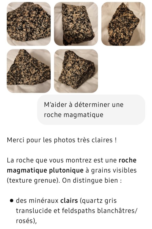 GRANITE BIOTITIQUE (1).jpg