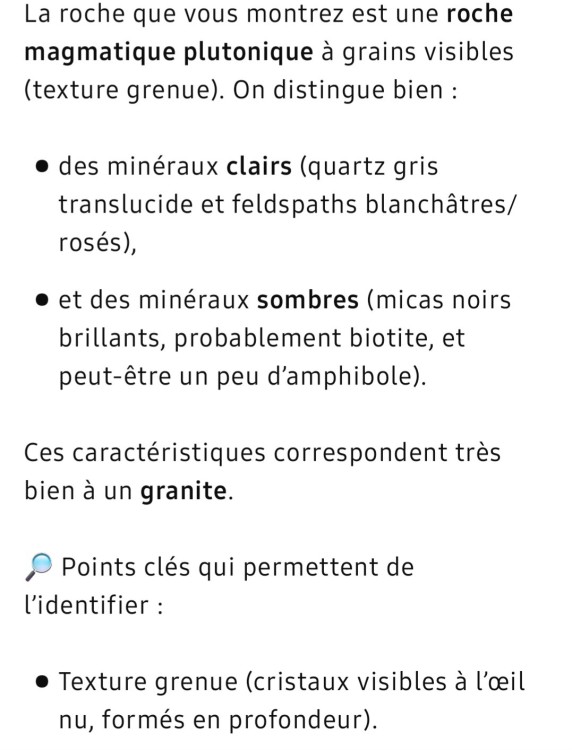 GRANITE BIOTITIQUE (2).jpg