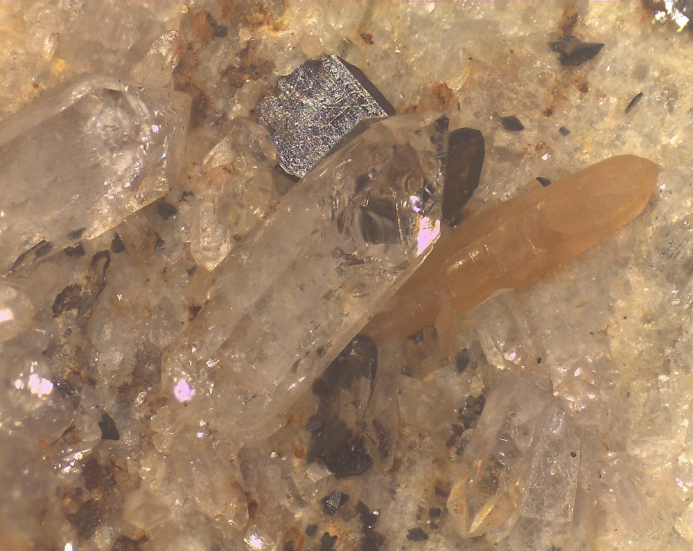 Jarrier2025 68x52 s20.jpg