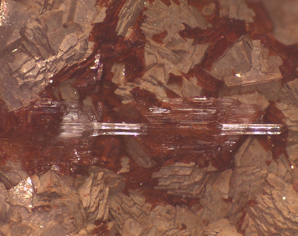 Le Rivet2025 54x41 s18.jpg