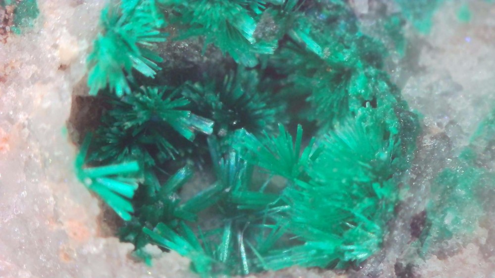 Malachite3.thumb.jpg.06f16f0524c68663bfc7f9bb40472cce.jpg