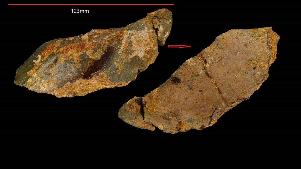 Nouveau projet (2).jpg