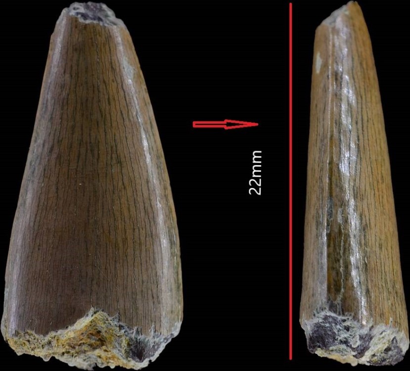 Nouveau projet(2).jpg