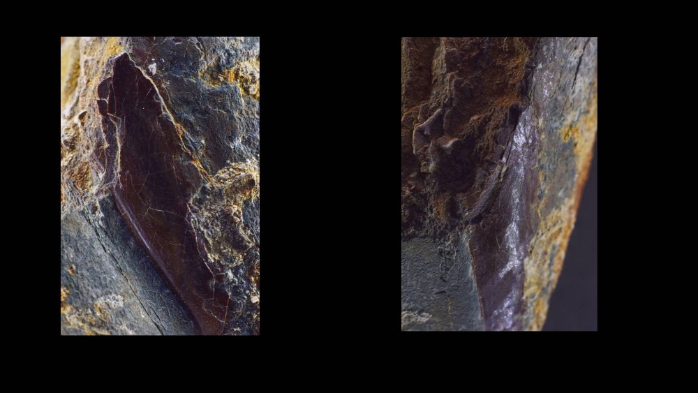 Nouveau projet(2).jpg