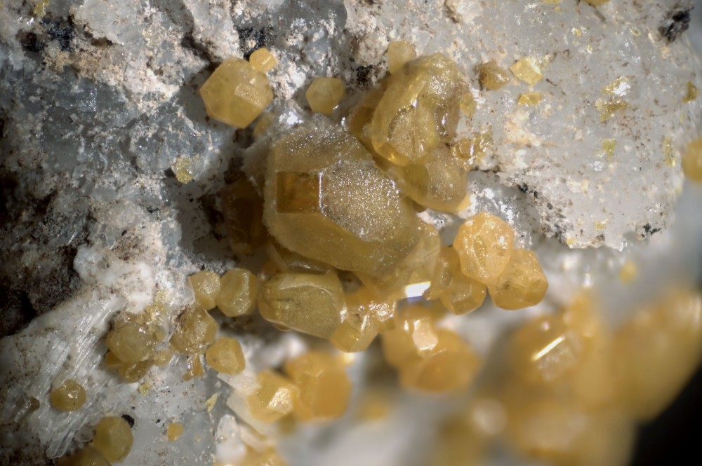 267-1318-04Wulfenite-Maoniupingmine(Sichuan-China)-FOV6_15mm.thumb.jpg.deb04808cdbb6af6f3d452d10d9aa90c.jpg